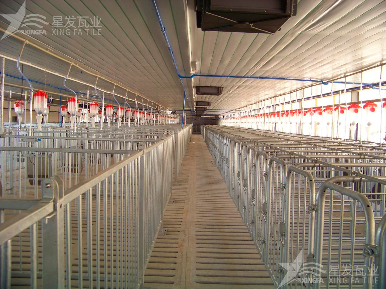 炎炎夏日即將來臨，為什么養(yǎng)殖場越來越多地選擇PVC瓦？