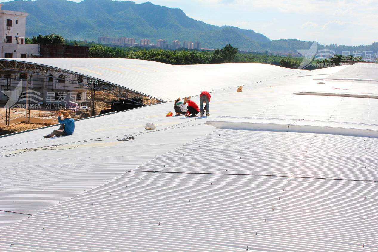 樹(shù)脂瓦漏水？不要慌，這些方法能夠快速解決問(wèn)題！